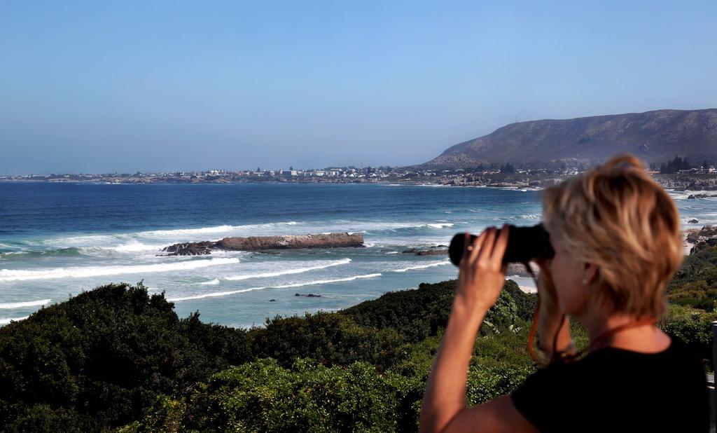 Hermanus Beach Villa Extérieur photo