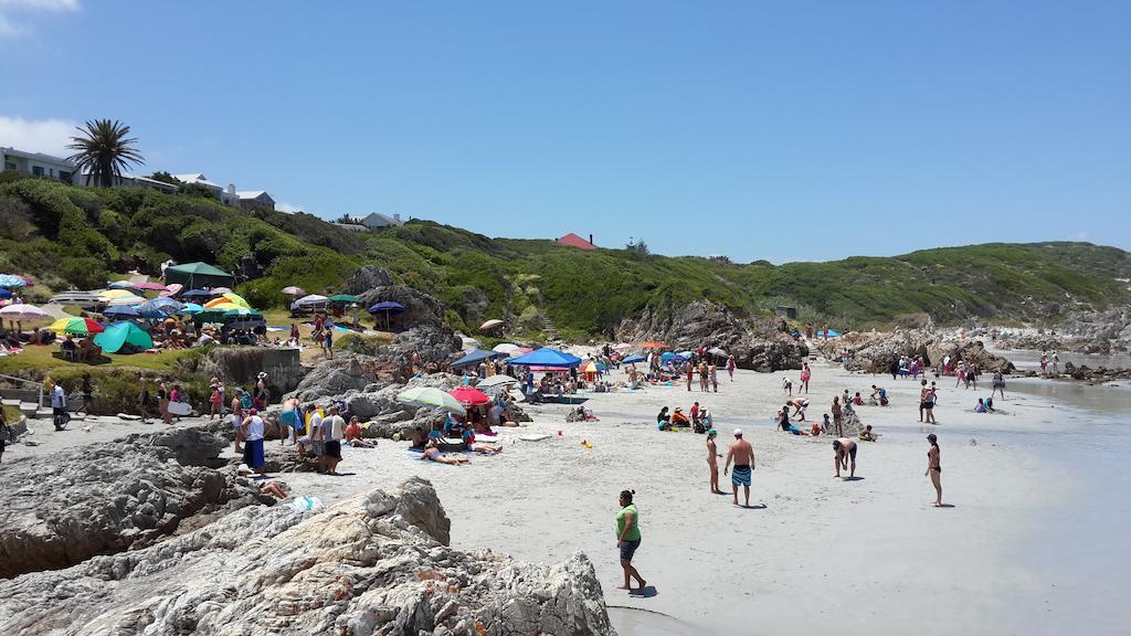 Hermanus Beach Villa Extérieur photo
