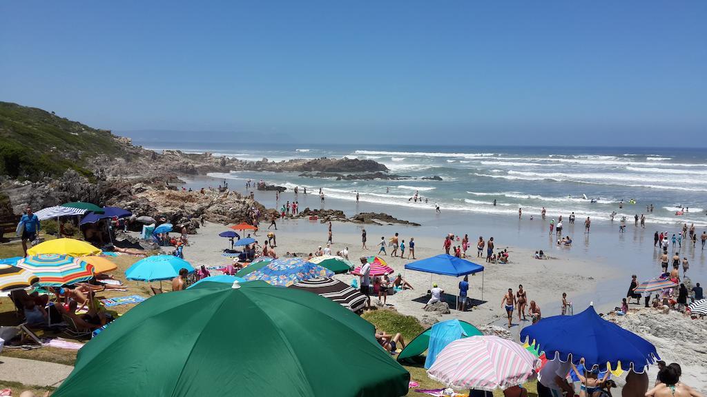 Hermanus Beach Villa Extérieur photo