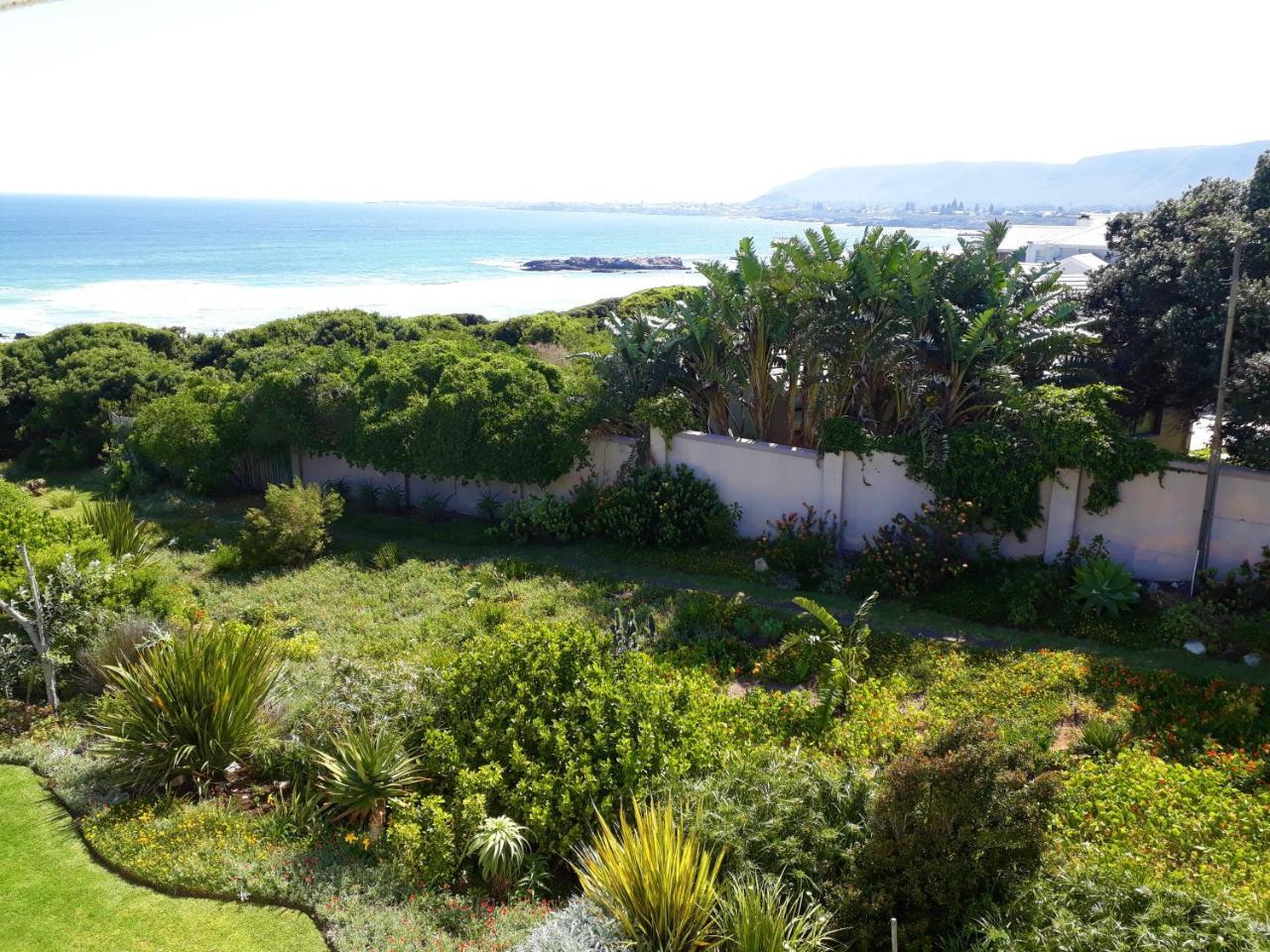 Hermanus Beach Villa Extérieur photo